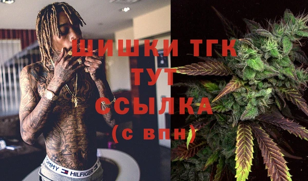 МДПВ Алексеевка