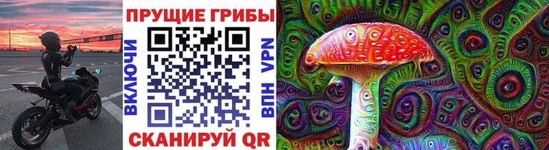 Галлюциногенные грибы ЛСД Купить где Отрадная