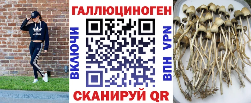 Псилоцибиновые грибы ЛСД Отрадная